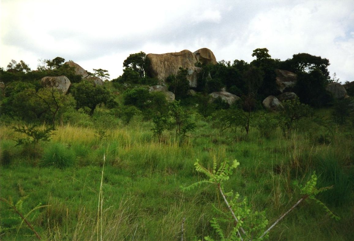 Photograph of the landscape at Bwanda